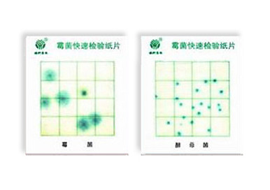 霉菌、酵母菌測(cè)試片